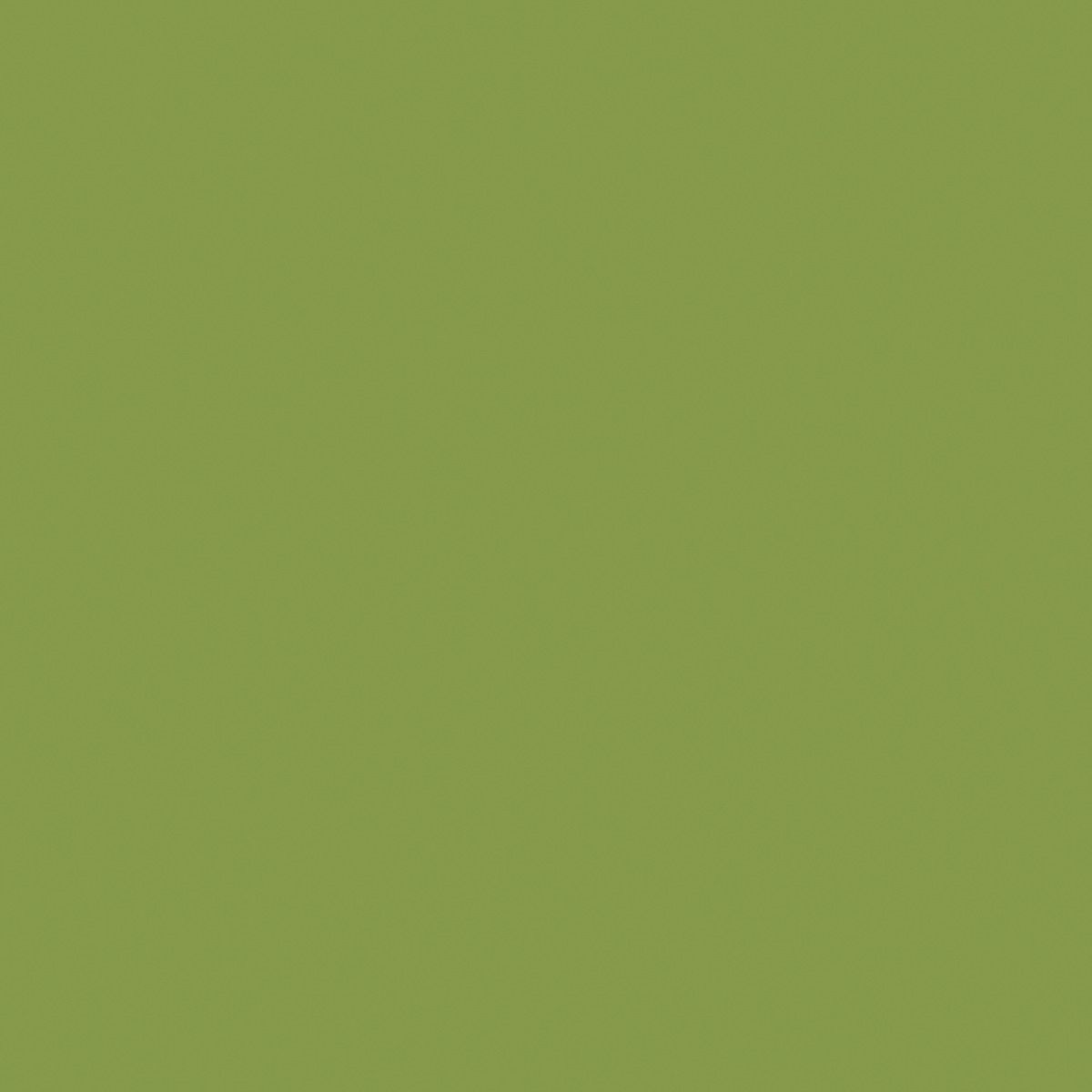 Kiwi Green U626 ST9