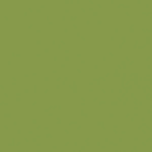 Kiwi Green U626 ST9
