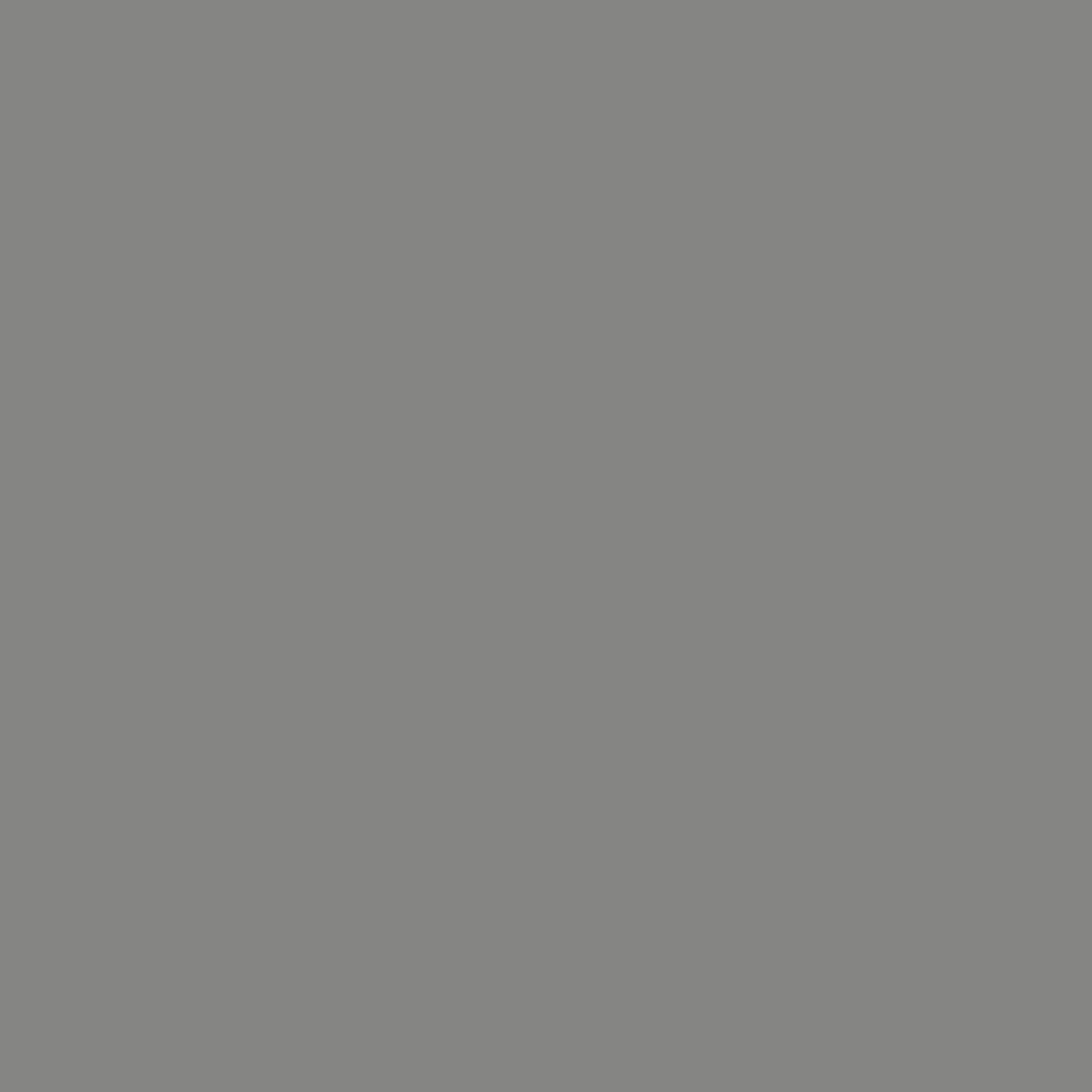 Dust Grey U732 PT