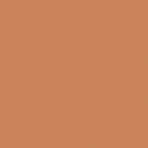 Caramel Nude U830 ST9