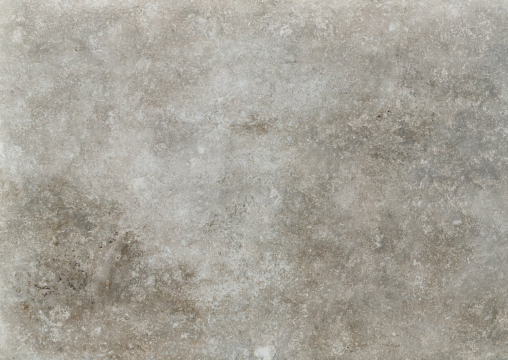 Avignon Ash
