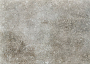 Avignon Ash